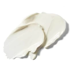 Weleda - Skin Food Nourishing Night Cream 40ml -The French Pharmacy 14218417 8165045188916703