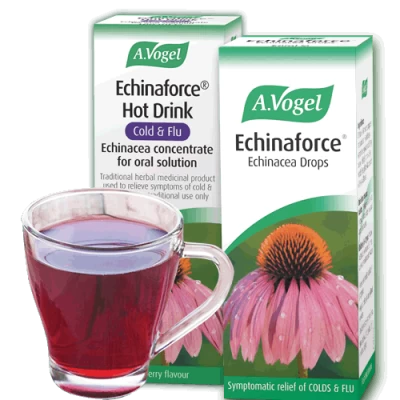 A. Vogel - Echinaforce Hot Drink 100ml 2 A. Vogel - Echinaforce Hot Drink 100ml - Image 2