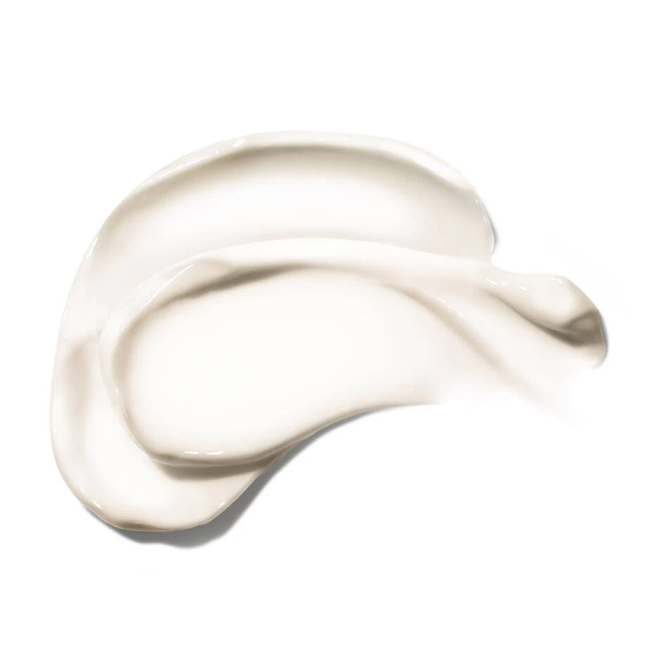 Skinceuticals - Daily Moisture 60ml 2 Skinceuticals - Daily Moisture 60ml - Image 2