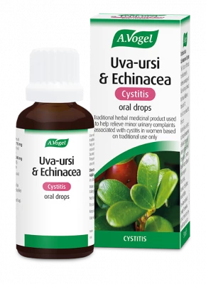 A. Vogel - Uva-Ursi & Echinacea Cystitis Drops 50ml 2 A. Vogel - Uva-Ursi & Echinacea Cystitis Drops 50ml - Image 2