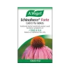 A. Vogel - Echinaforce Forte Cold And Flu 40 Tablets
