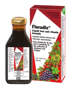 Floradix - Liquid Iron & Vitamin Formula 250ml